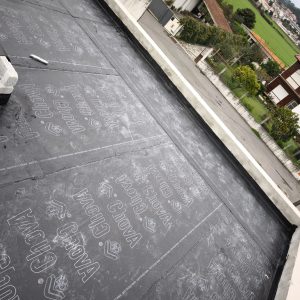 WhatsApp Image 2026-02-05 at 19.42.28