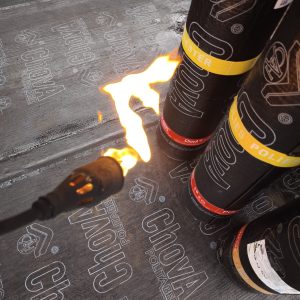 WhatsApp Image 2026-02-05 at 19.42.29