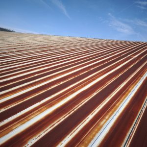 WhatsApp Image 2026-02-05 at 19.42.32 (6)