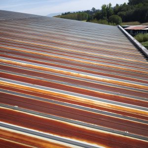 WhatsApp Image 2026-02-05 at 19.42.32 (7)