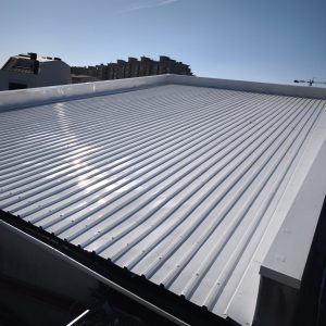 WhatsApp Image 2026-02-05 at 19.42.32 (8)