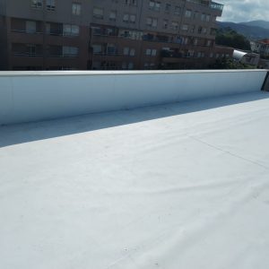 WhatsApp Image 2026-02-05 at 19.42.33 (2)