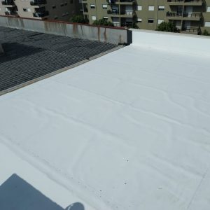 WhatsApp Image 2026-02-05 at 19.42.33 (3)