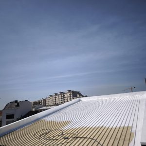 WhatsApp Image 2026-02-05 at 19.42.33