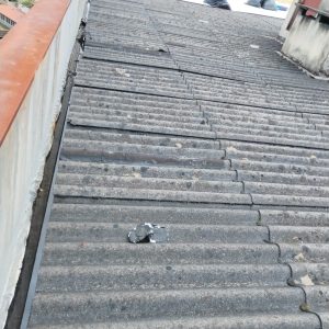 WhatsApp Image 2026-02-05 at 19.42.33 (4)