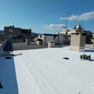 WhatsApp Image 2026-02-05 at 19.42.33 (5)