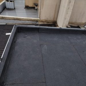 WhatsApp Image 2026-02-05 at 19.42.34 (1)