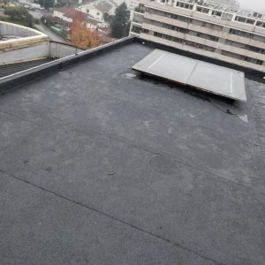 WhatsApp Image 2026-02-05 at 19.42.34 (2)