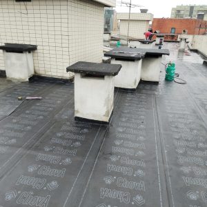 WhatsApp Image 2026-02-05 at 19.42.34