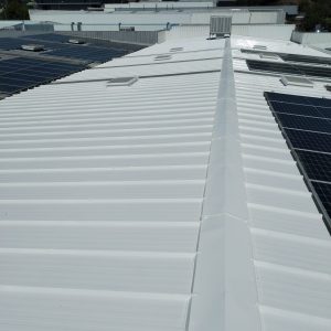 WhatsApp Image 2026-02-05 at 19.42.34 (4)