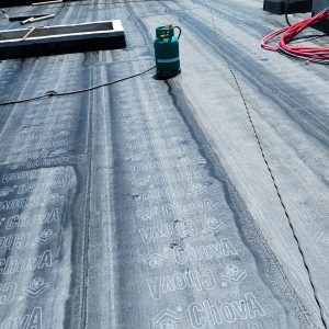 WhatsApp Image 2026-02-05 at 19.42.35 (1)