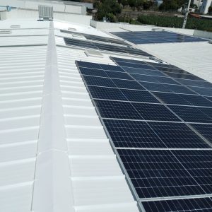 WhatsApp Image 2026-02-05 at 19.42.35